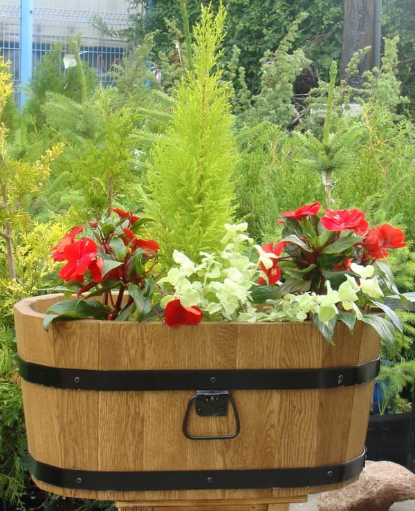 Blomsterstander i fyrretræ 60x38xH31 karat palisander