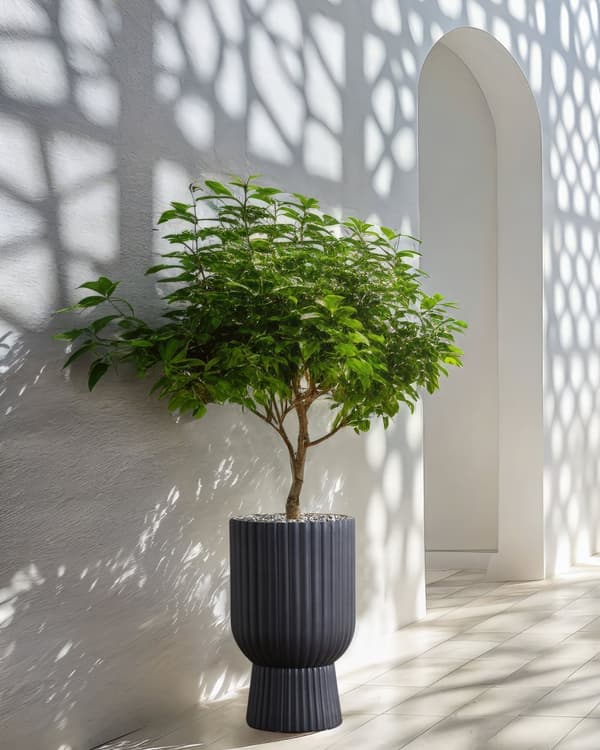 Plantepotte Grå 34x34x56 cm MgO Rund Nålestripe Innendørs Utendørs Værbestandig