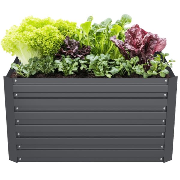Højbed Blomma, 540l, galvaniseret, 100x100x56cm - anthrazit