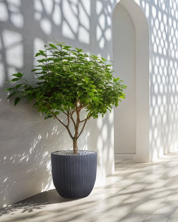 Plantepotte grå 42 x 42 x 39 cm MgO rund form stribet vejrbestandig indvendig udvendig