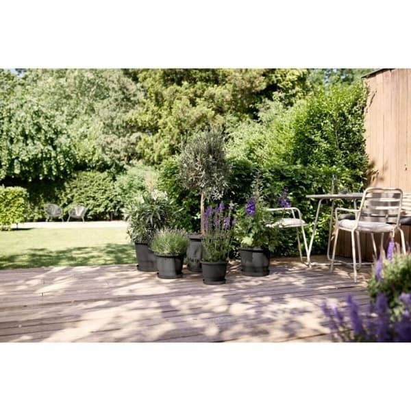 Urtepotte Elho Sort Antracit 35 x 34,5 x 26 cm