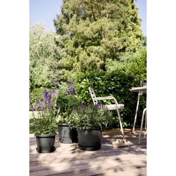 Urtepotte Elho Sort Antracit 35 x 34,5 x 26 cm