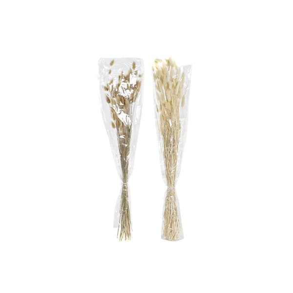 Kimppu DKD Home Decor Beige Ruskea Kuivakukka (12 x 12 x 76 cm) (2 osaa)