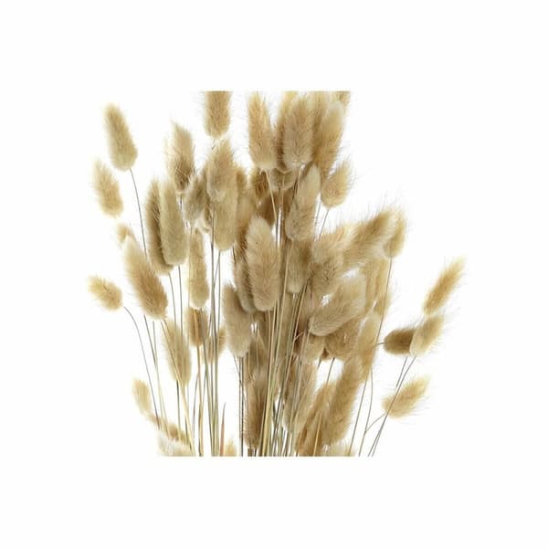 Kimppu DKD Home Decor Beige Ruskea Kuivakukka (12 x 12 x 76 cm) (2 osaa)