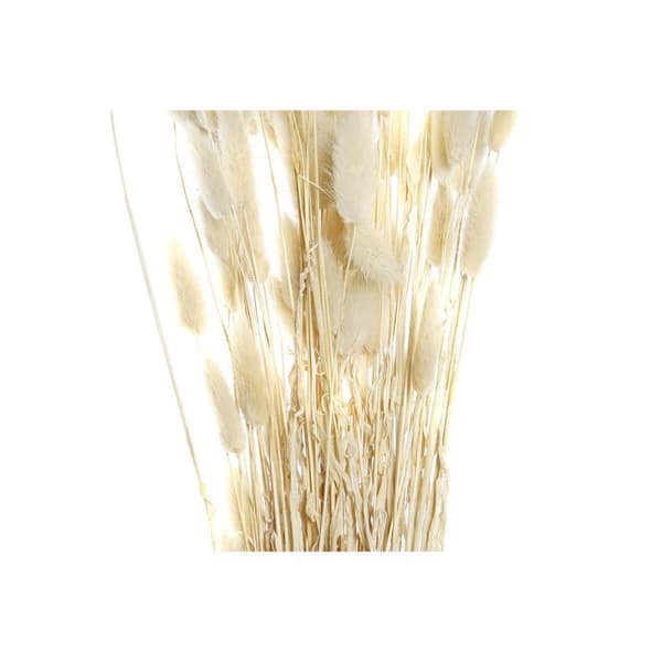 Kimppu DKD Home Decor Beige Ruskea Kuivakukka (12 x 12 x 76 cm) (2 osaa)