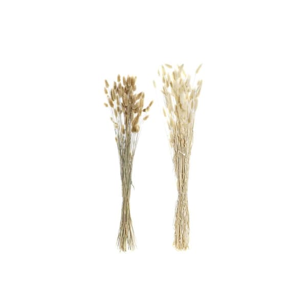 Kimppu DKD Home Decor Beige Ruskea Kuivakukka (12 x 12 x 76 cm) (2 osaa)