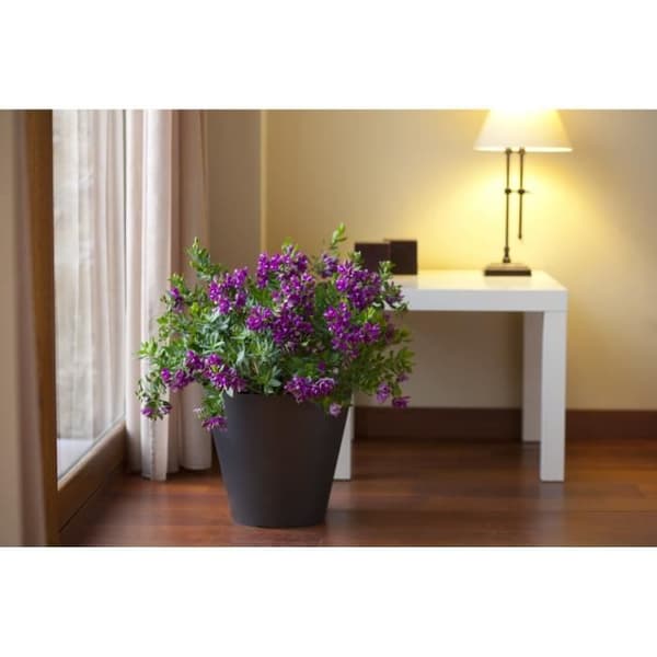 PLASTIKEN Tes konblomma - 32 cm - Antracit