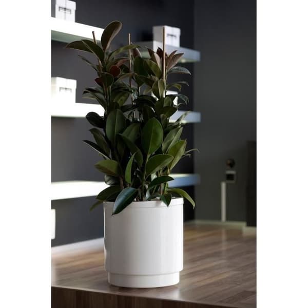 Blomkruka - PLASTIKEN - Hidrojardinera - Ø26 cm - Med vattenreserv - Vit