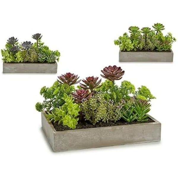 Dekorativ växt - IBERGARDEN - Suckulent - Plast - Cement - 16,5 x 20 x 28,5 cm (6 enheter)