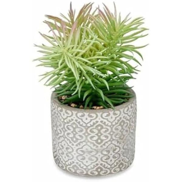 Dekorativ växt - IBERGARDEN - Suckulent i plastträ - 12 x 22 x 12 cm - Flerfärgad - 8 enheter