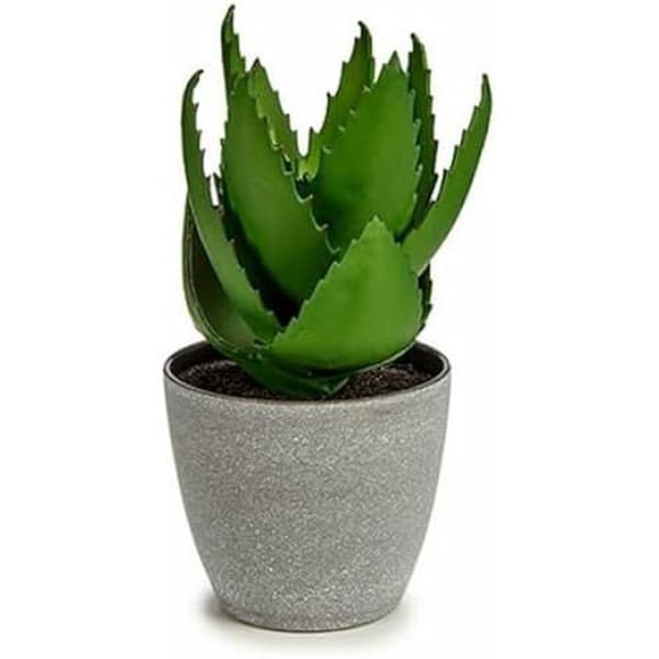 Dekorativ växt - IBERGARDEN - Aloe Vera - 15 x 23,5 x 15 cm - Plast - 6 enheter