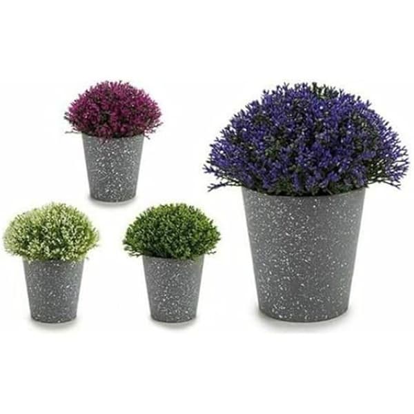 Dekorativ växt - IBERGARDEN - Flerfärgad - 14 x 15 x 14 cm - Plast - 12 enheter