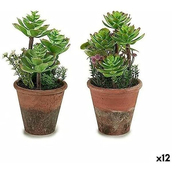 Dekorativ växt - IBERGARDEN - Flerfärgad - Mått 71x43x13,5 cm - Höjd 13 cm