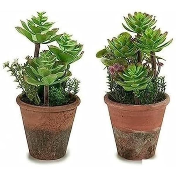 Dekorativ växt - IBERGARDEN - Flerfärgad - Mått 71x43x13,5 cm - Höjd 13 cm
