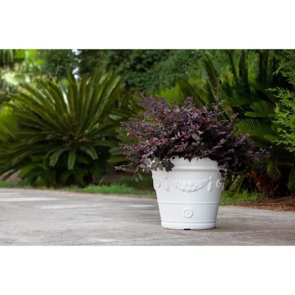 Kloris Rund Traditionell Planter med Rund Banner 40 cm, Vit