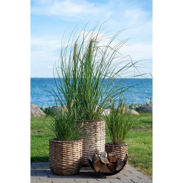 Rootz Hanoi Planters Set - Natural Planters - Bohemian Planters - Versatila skärmar - 25x27cm, 34x36cm, 49x51,5cm