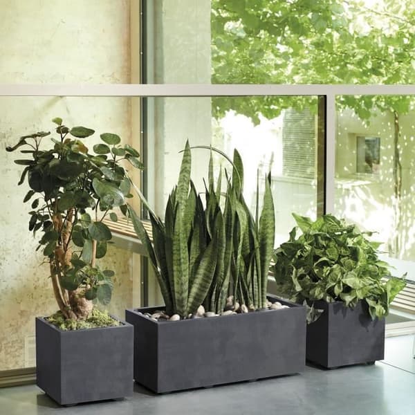 Kubblomkruka - DEROMA - Millennium R - Antracit - Med vattenreserv - 25 cm