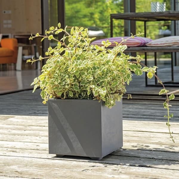 Kubblomkruka - DEROMA - Millennium R - Antracit - Med vattenreserv - 25 cm