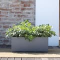 Miniatyrbillede 3 af 4: Muret Planter - DEROMA - Millennium R - Askgrå - Med vattenreserv - 59 cm