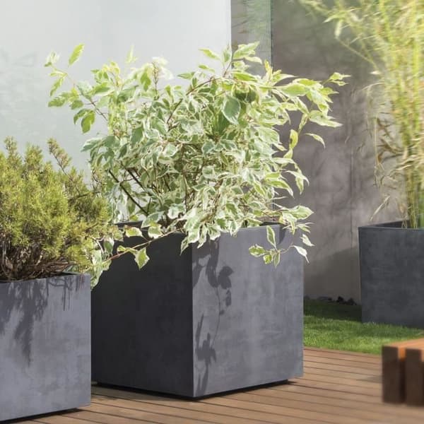 Kubblomkruka - DEROMA - Millennium R - Antracit - Med vattenreserv - Hjul - 49 cm