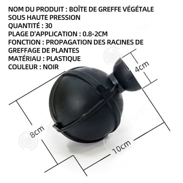 INN Rooting Box 30 växtförökningsboxar Lämpliga för alla grenar i intervallet 0,8 cm till 2 cm svart