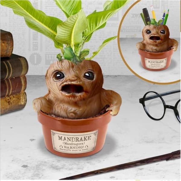 Burk - Harry Potter - Mandrake Root Pennhållare
