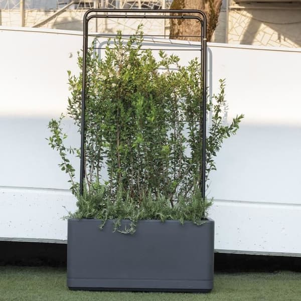 Muret Planter - DEROMA - Cosmo - Antracit - Med vattenreserv - Hjul - 78 cm