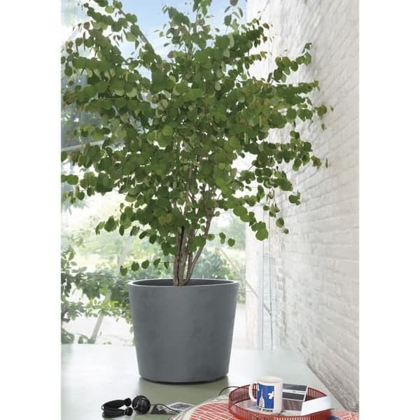 Blomkruka - DEROMA - Millennium R - Ashgrey - Självvattnande - Hjul - 59 cm