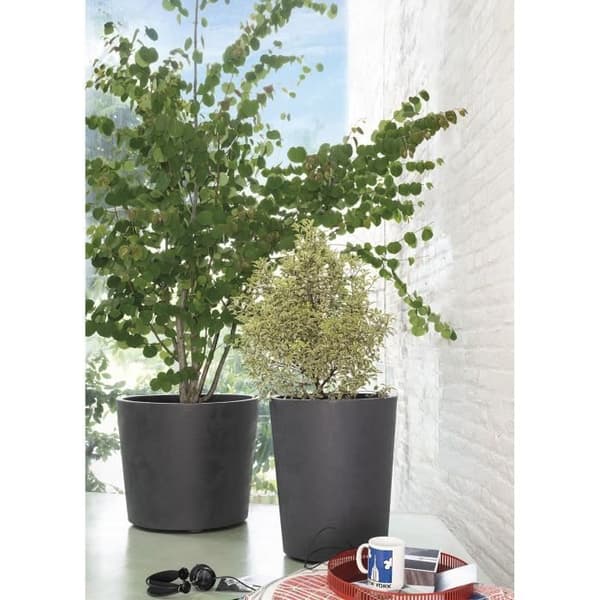 Blomkruka Vas - DEROMA - Millennium R - Antracit - Med vattenreserv - Hjul - 59 cm