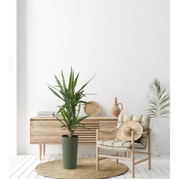 Plastkruka Lilia Jumper Eco 570mm, Vit