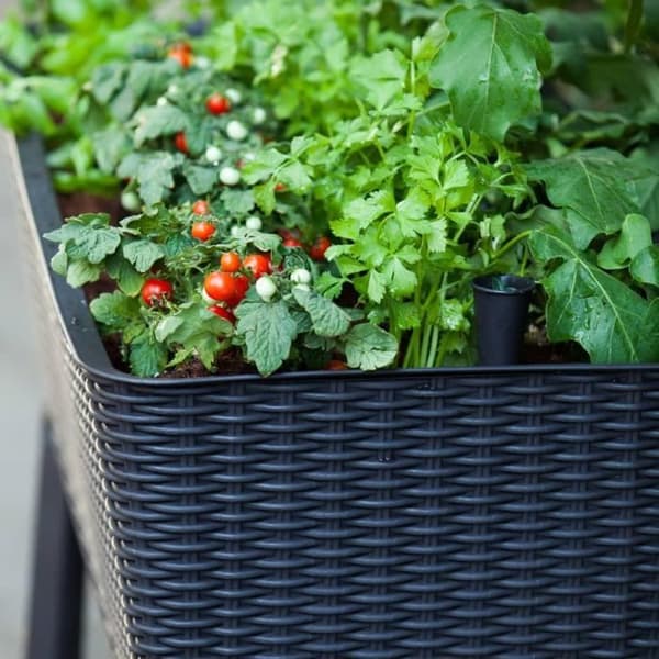 Keter Lättväxande Planteringsmaskin 120 L 229098