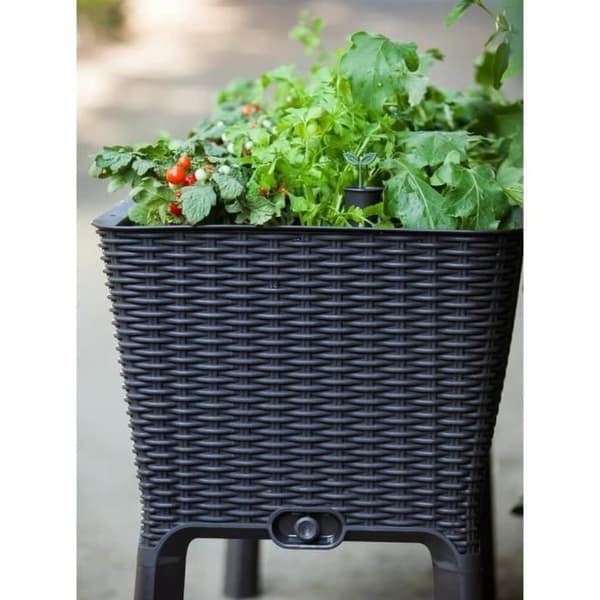 Keter Lättväxande Planteringsmaskin 120 L 229098