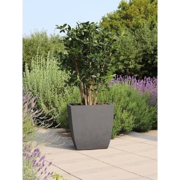 Blomlåda - DIVA BASALT - Antracitgrå - Fyrkantig - 42 L - 43,5 x 43,5 x H.44,2 cm - EDA - Avtagbar innerlåda
