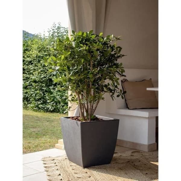 Blomlåda - DIVA BASALT - Antracitgrå - Fyrkantig - 42 L - 43,5 x 43,5 x H.44,2 cm - EDA - Avtagbar innerlåda