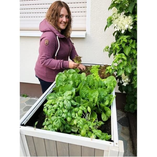 HABAU Klara Höjdodlad Jardinière VitGrå - Kapacitet 80 Liter