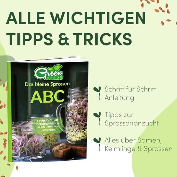 Gröna SEEDS Groddburk 3 Set om 1000ml med Lock i Rostfritt Stål med Galler