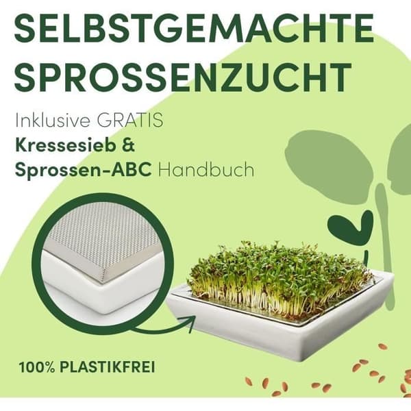 Gröna SEEDS Groddburk 3 Set om 1000ml med Lock i Rostfritt Stål med Galler