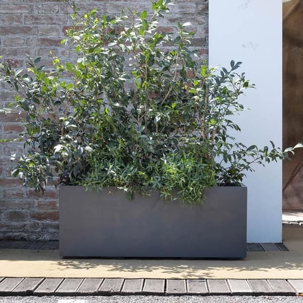 Jardinière Muret - DEROMA - Millennium R - Antracit - Med vattentank - Med hjul - 99 cm