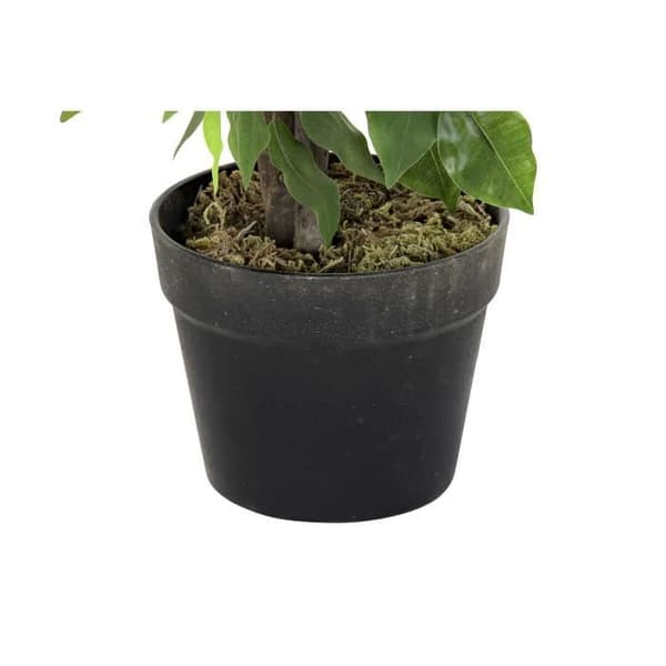 dekorativ växt 50 x 50 x 90 cm grön polyetenmetall 30 x 40 cm urban ficus - Färg:GRÖN
