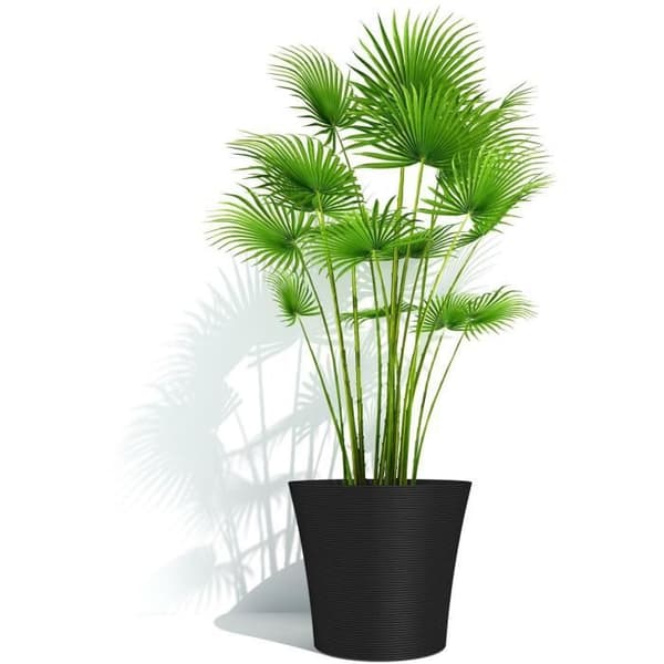 Blomkruka - GARDEN ID - Green Care Sense Black-Antracit - 30 x 27 cm - 10 års garanti - 100 % återvunnet - UV- och frostbeständighet