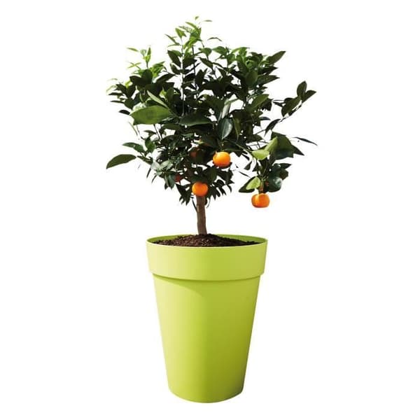 Blomkruka Elho Plast Rund Loft Urban Vit Ø 34 x 45,6 cm 23 l