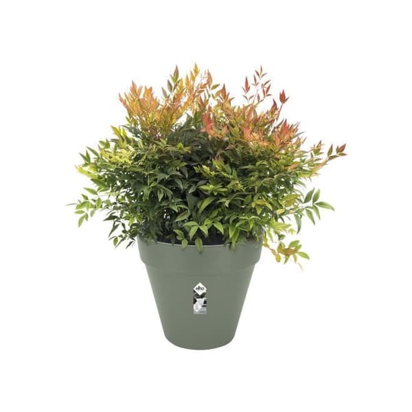 Planteur Rectangle VIBIA - Plast - Reservoar - Ø50 - grön