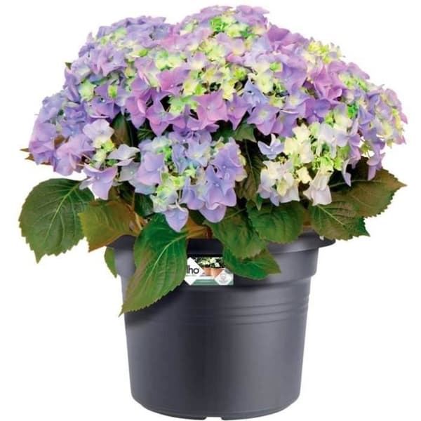 GREEN BASICS Rund blomkruka - Plast - Ø45 - Mjuk terrakotta