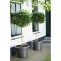 Miniatyrbild 5 av 5: GREEN BASICS Rund blomkruka - Plast - Ø45 - Mjuk terrakotta