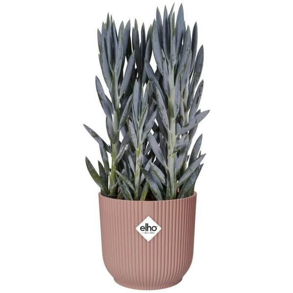 VIBES Rund Blomkruka - Plast - Ø25 - Puderrosa