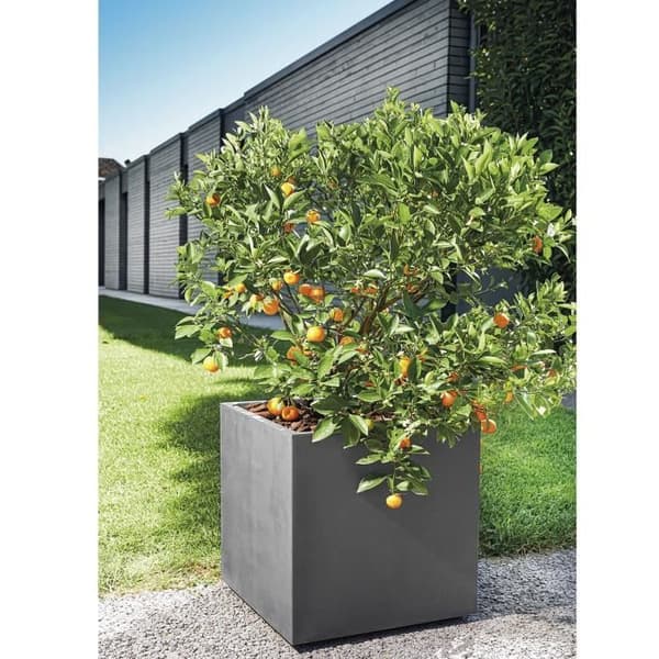 Blommkruka Kub - DEROMA - Millennium R - Antracit - Med vattentank - Hjul - 49 cm