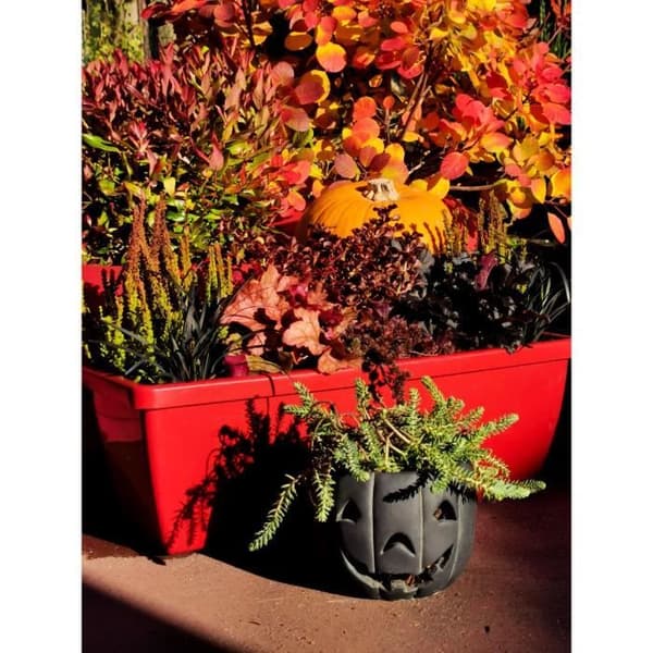 RIVIERA EVA blomlåda - Set med 2 planteringskärl - Plast - 57 cm - Röd