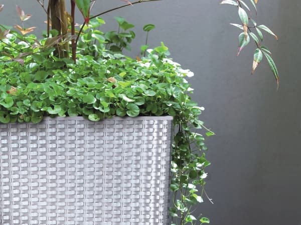 RATO låg blomkruka DRTS225L med insats | Antracit