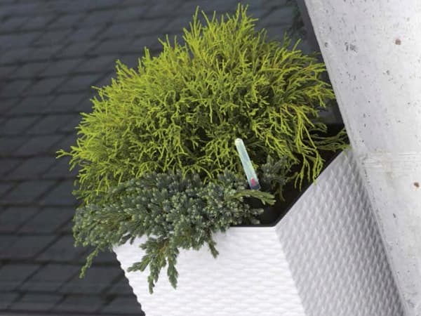 RATO låg blomkruka DRTS225L med insats | Antracit