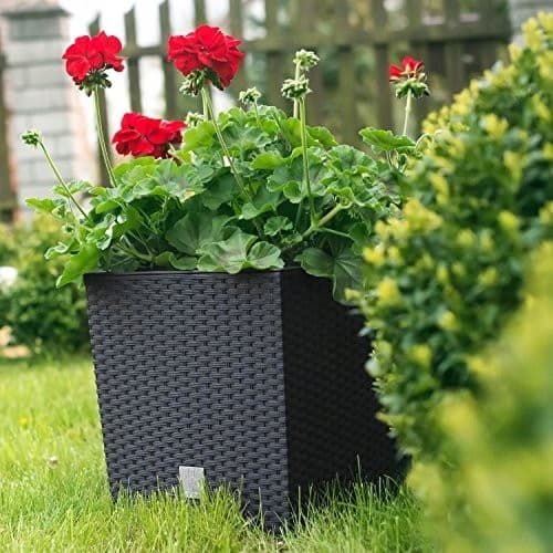 RATO låg blomkruka DRTS225L med insats | Antracit